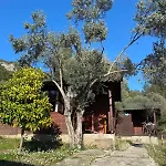 Olympos Talara By Arzum *