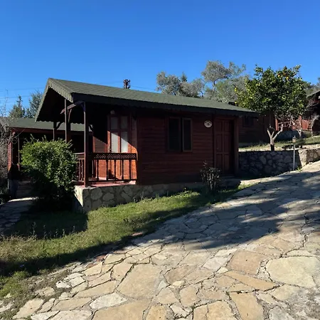 Olympos Talara By Arzum Feriested