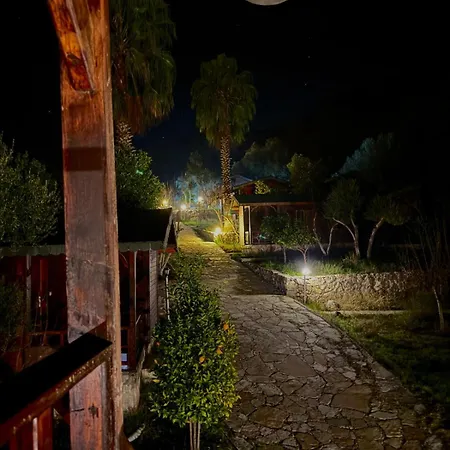 Olympos Talara By Arzum *