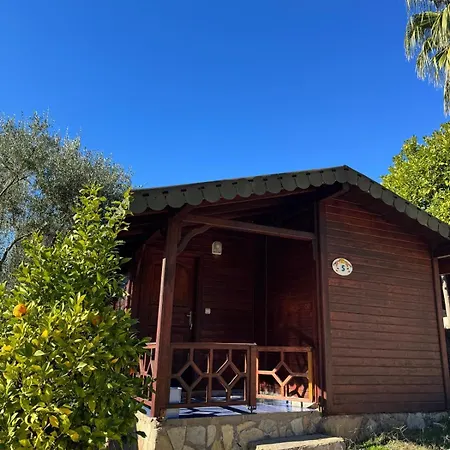 Olympos Talara By Arzum *