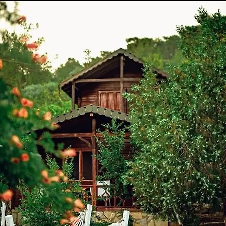 Olympos Talara By Arzum Resort Kumluca