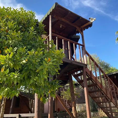 Olympos Talara By Arzum Resort *