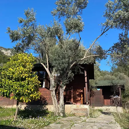 Olympos Talara By Arzum *