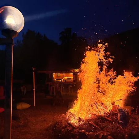 Olympos Talara By Arzum Feriested *